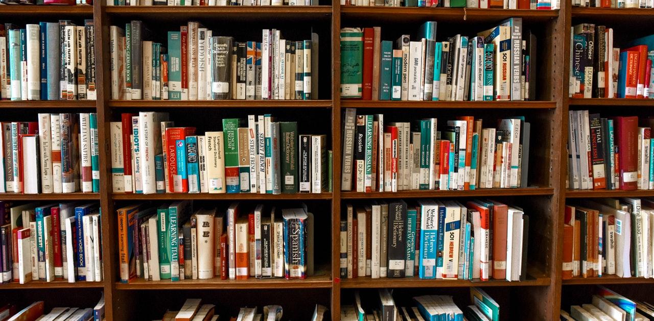 Bibliotheek-, archief en documentatiekunde